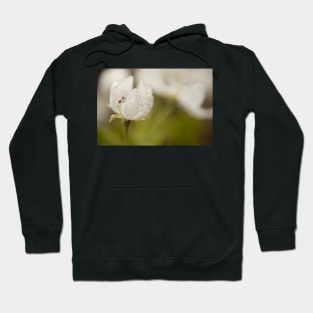 Pear Blossom Hoodie